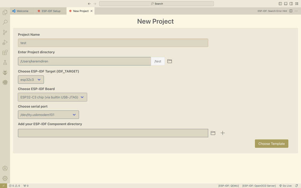 ESP-IDF project settings